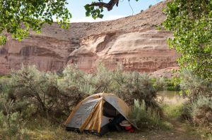 Colorado River Canoeing June 22-24, 2025